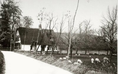Zaterdag 8 februari 2025:  Boerderijen in het oude Linschoten