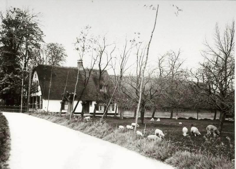 Zaterdag 8 februari 2025:  Boerderijen in het oude Linschoten